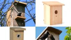 Paggawa ng isang simpleng birdhouse mula sa kahoy gamit ang iyong sariling mga kamay Mga materyales at kasangkapan sa paggawa